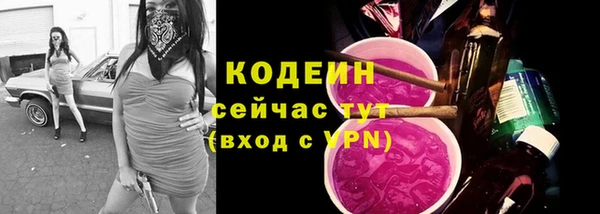 спиды Богданович