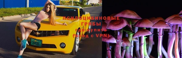 mdpv Богородск