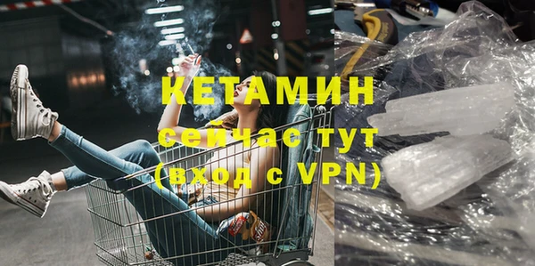 спиды Богданович