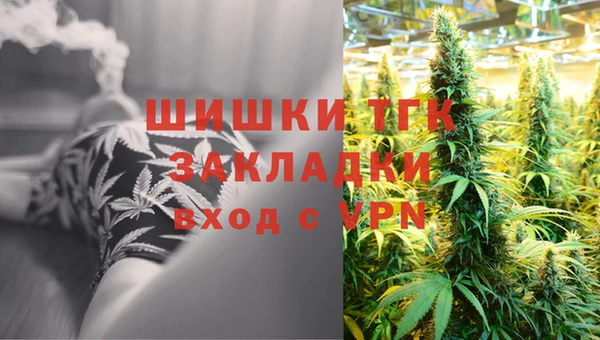 mdpv Богородск