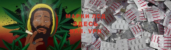 mdpv Богородск