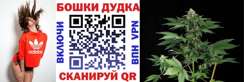 Купить закладки  Мегион  Канабис Ganja 